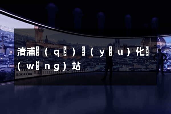 清浦區(qū)優(yōu)化網(wǎng)站