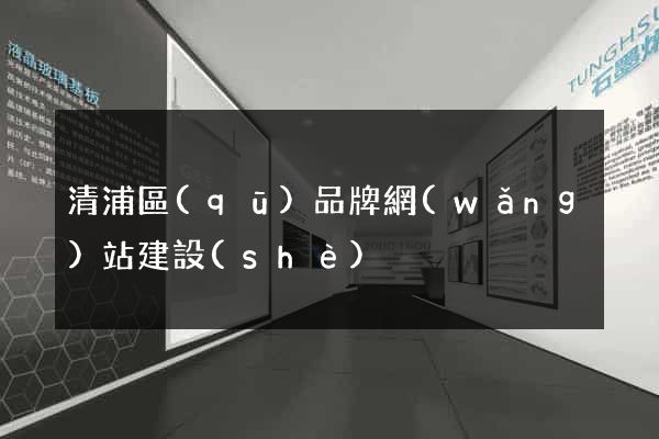 清浦區(qū)品牌網(wǎng)站建設(shè)