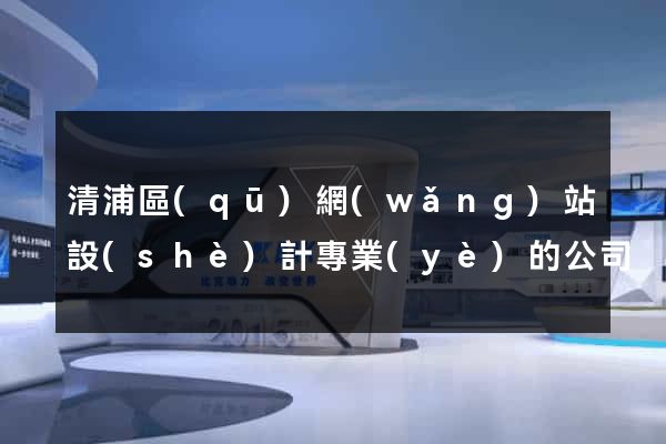 清浦區(qū)網(wǎng)站設(shè)計專業(yè)的公司