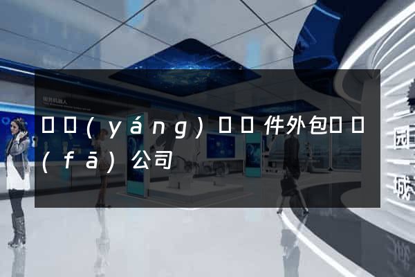 渦陽(yáng)縣軟件外包開發(fā)公司