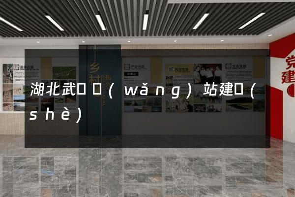 湖北武漢網(wǎng)站建設(shè)