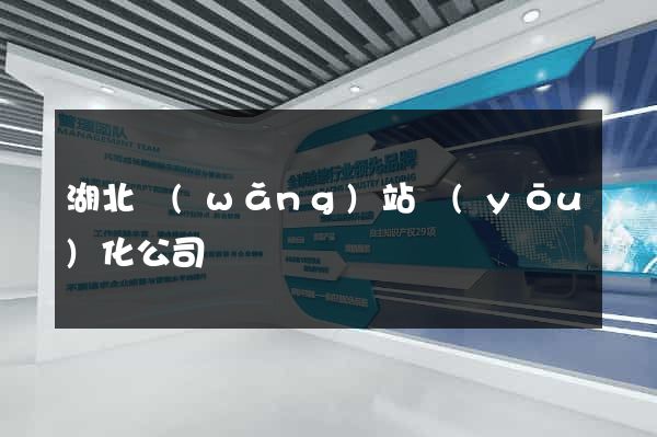 湖北網(wǎng)站優(yōu)化公司