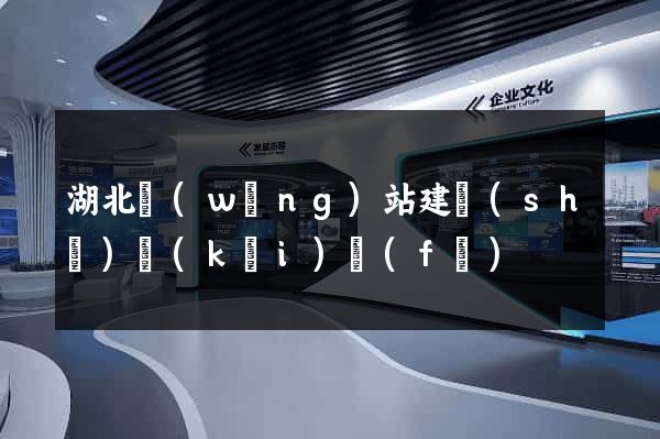 湖北網(wǎng)站建設(shè)開(kāi)發(fā)