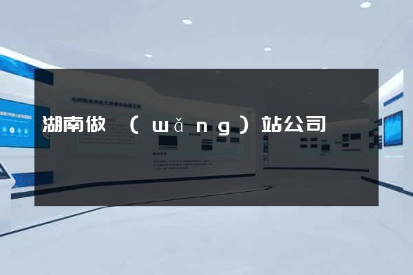湖南做網(wǎng)站公司