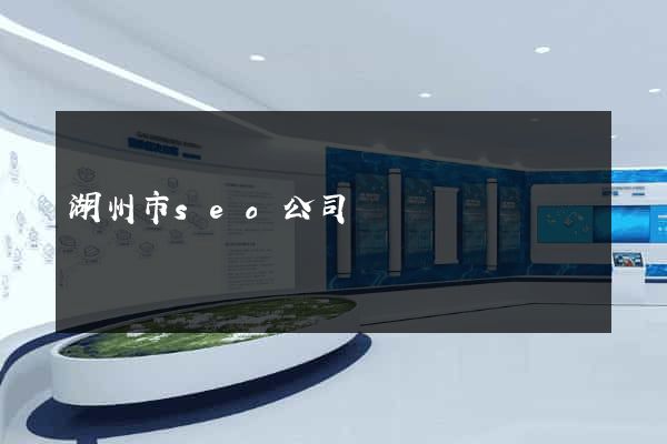 湖州市seo公司