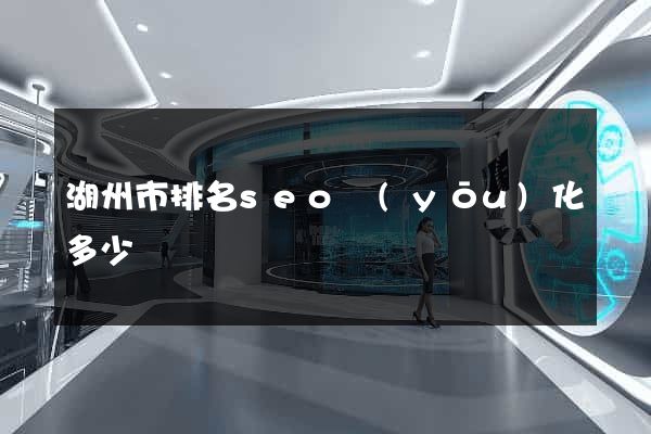 湖州市排名seo優(yōu)化多少錢