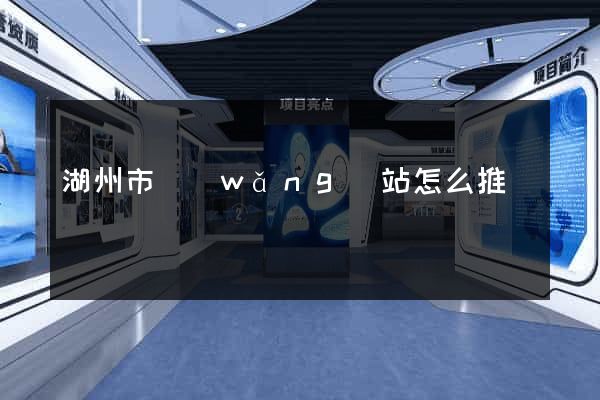 湖州市網(wǎng)站怎么推廣