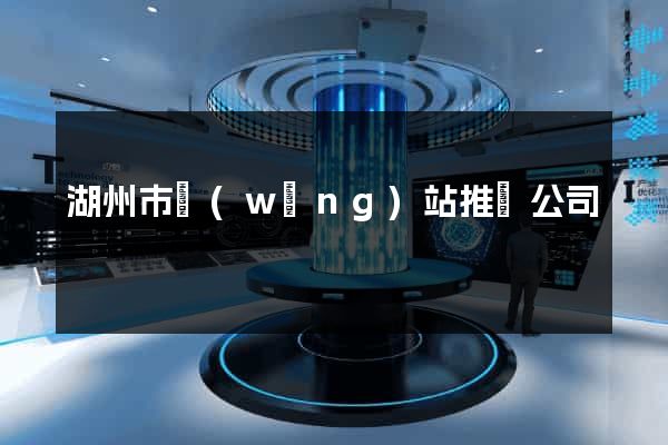 湖州市網(wǎng)站推廣公司