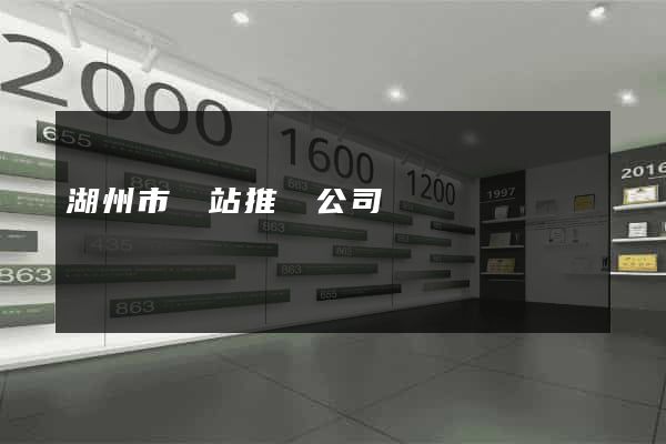 湖州市網站推廣公司