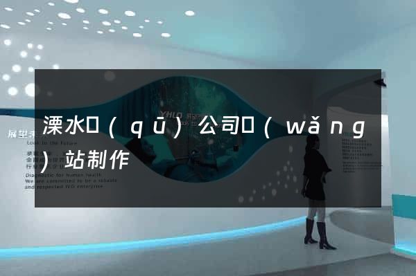 溧水區(qū)公司網(wǎng)站制作