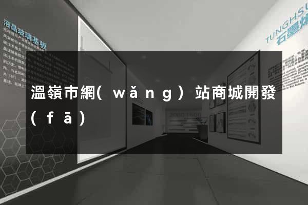 溫嶺市網(wǎng)站商城開發(fā)