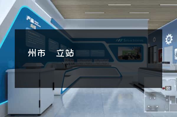 溫州市獨立站運營