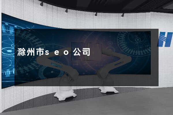 滁州市seo公司