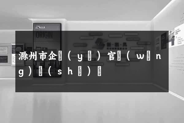 滁州市企業(yè)官網(wǎng)設(shè)計