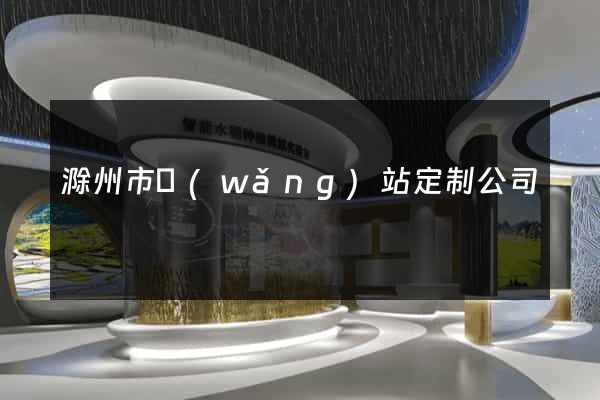 滁州市網(wǎng)站定制公司