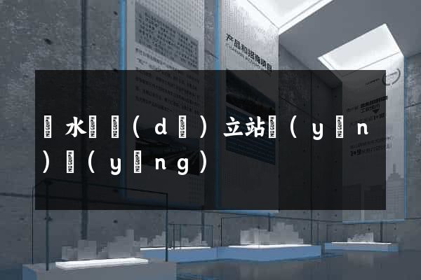 漣水縣獨(dú)立站運(yùn)營(yíng)