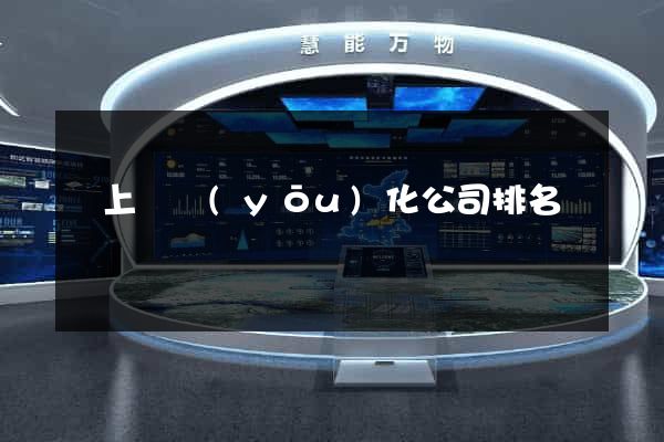 潁上縣優(yōu)化公司排名