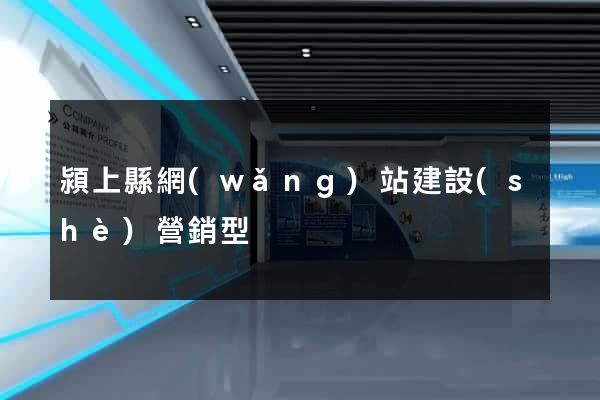 潁上縣網(wǎng)站建設(shè)營銷型