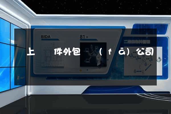 潁上縣軟件外包開發(fā)公司