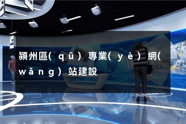 潁州區(qū)專業(yè)網(wǎng)站建設