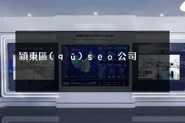 潁東區(qū)seo公司