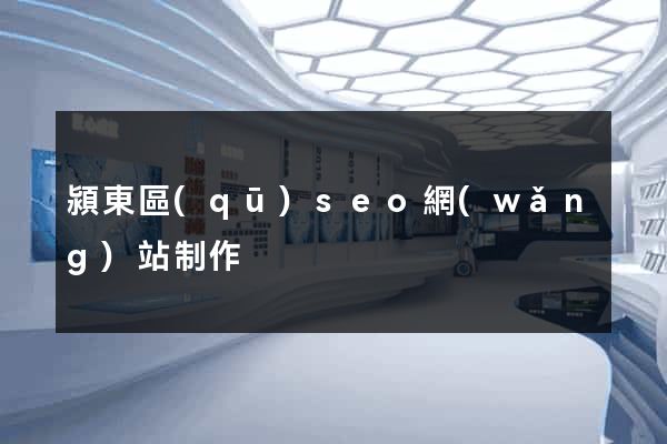 潁東區(qū)seo網(wǎng)站制作