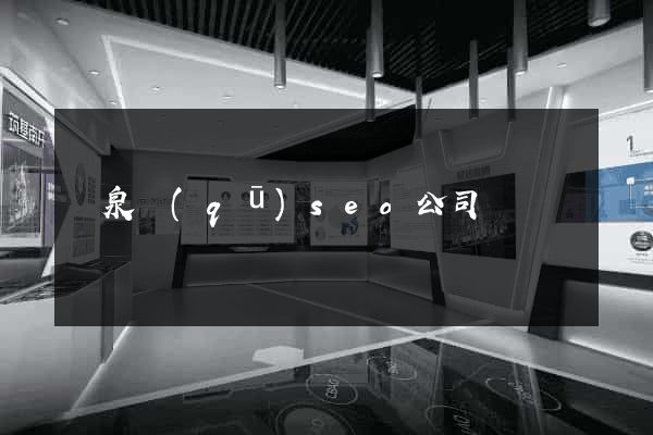 潁泉區(qū)seo公司