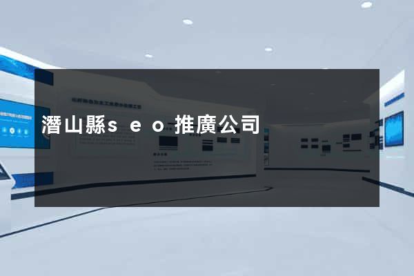 潛山縣seo推廣公司