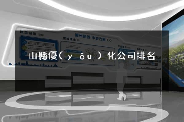 潛山縣優(yōu)化公司排名