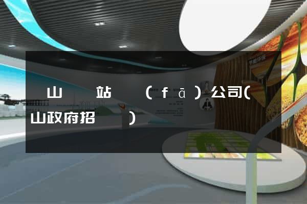 潛山縣網站開發(fā)公司(潛山政府招標網)
