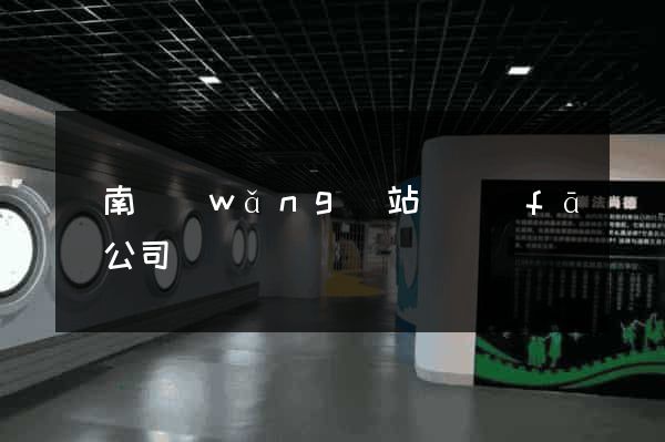 濟南網(wǎng)站開發(fā)公司