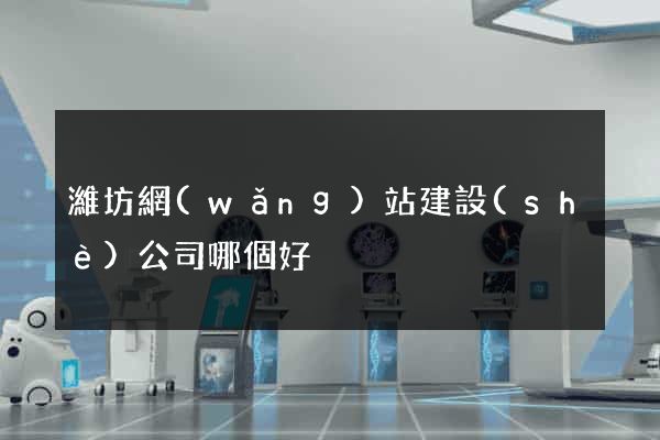 濰坊網(wǎng)站建設(shè)公司哪個好
