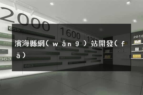 濱?？h網(wǎng)站開發(fā)