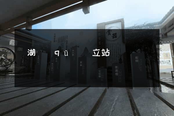濱湖區(qū)獨立站運營