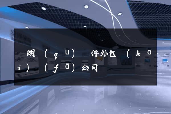 濱湖區(qū)軟件外包開(kāi)發(fā)公司