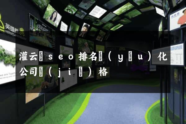 灌云縣seo排名優(yōu)化公司價(jià)格