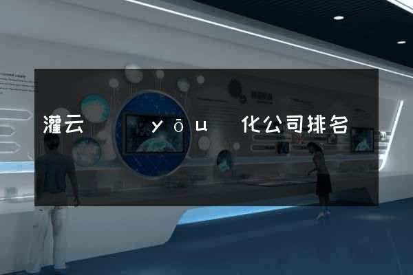 灌云縣優(yōu)化公司排名
