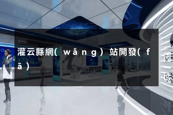 灌云縣網(wǎng)站開發(fā)