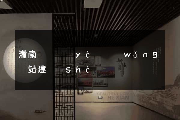 灌南縣專業(yè)網(wǎng)站建設(shè)