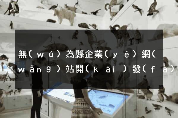 無(wú)為縣企業(yè)網(wǎng)站開(kāi)發(fā)