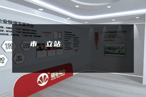 無錫市獨立站運營