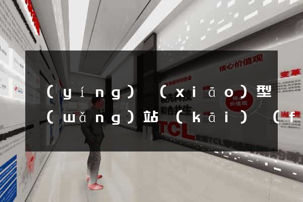 營(yíng)銷(xiāo)型網(wǎng)站開(kāi)發(fā)
