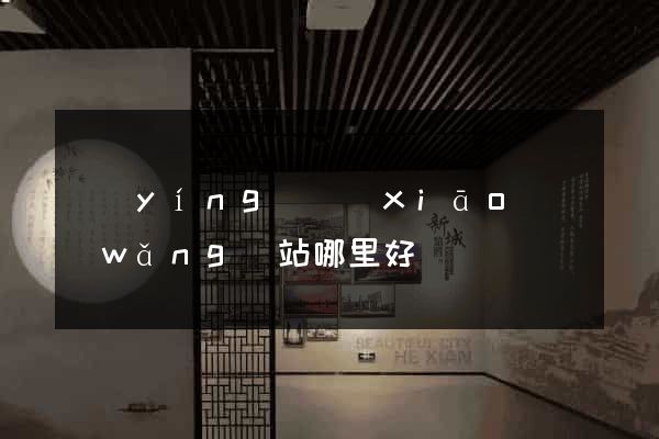 營(yíng)銷(xiāo)網(wǎng)站哪里好