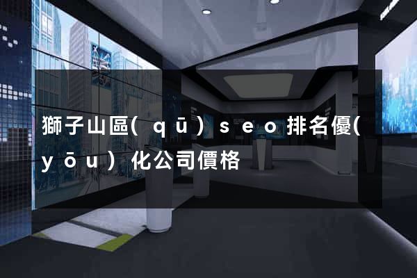 獅子山區(qū)seo排名優(yōu)化公司價格