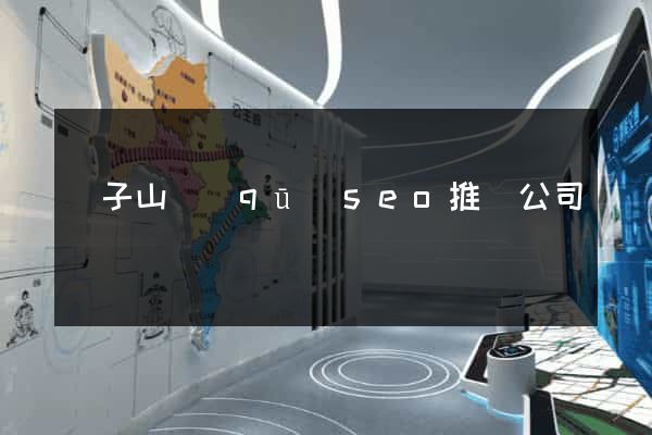 獅子山區(qū)seo推廣公司