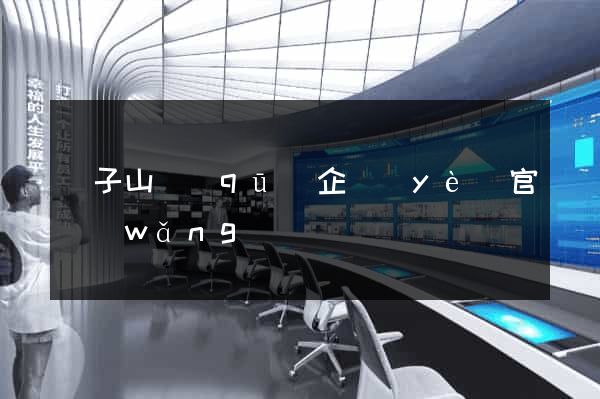 獅子山區(qū)企業(yè)官網(wǎng)