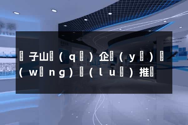 獅子山區(qū)企業(yè)網(wǎng)絡(luò)推廣