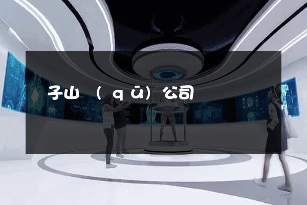 獅子山區(qū)公司網頁設計