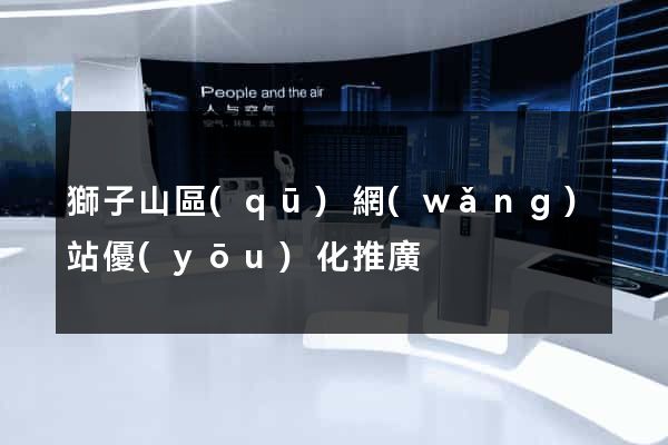 獅子山區(qū)網(wǎng)站優(yōu)化推廣