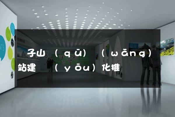 獅子山區(qū)網(wǎng)站建設優(yōu)化推廣